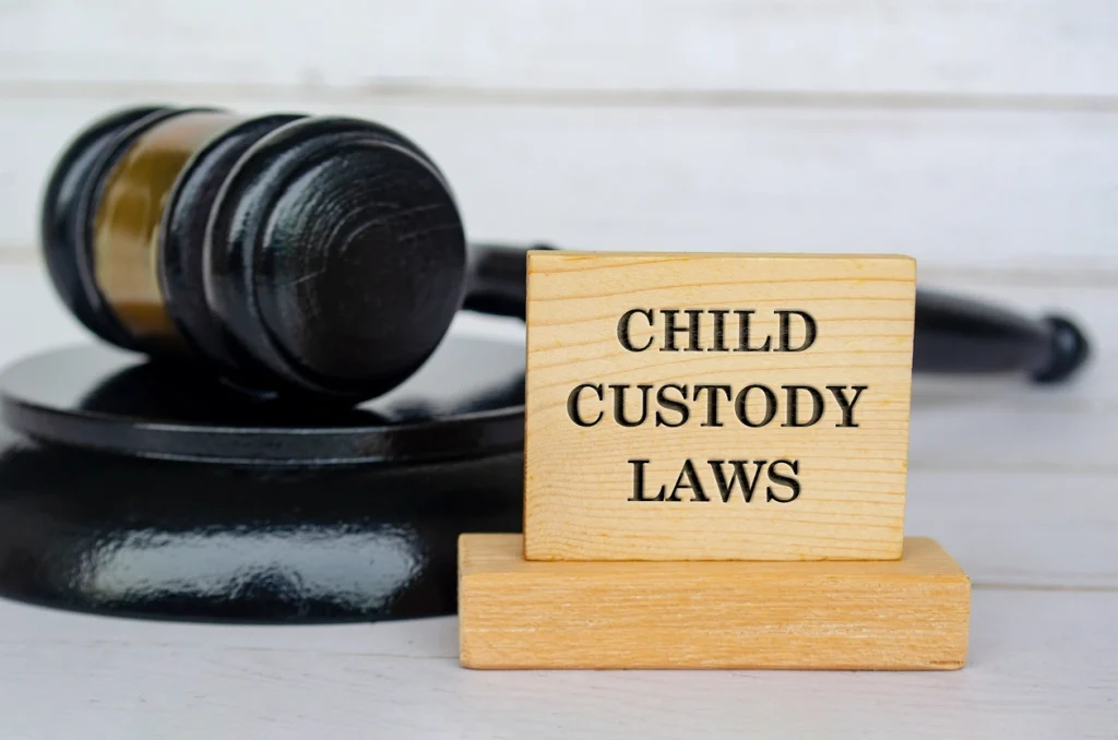South Carolina Child Custody Law
